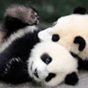 Meet your Posher, Ay